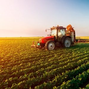 Nota fiscal eletrônica para produtores rurais será obrigatória a partir de 01/07 em MT